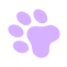 shape