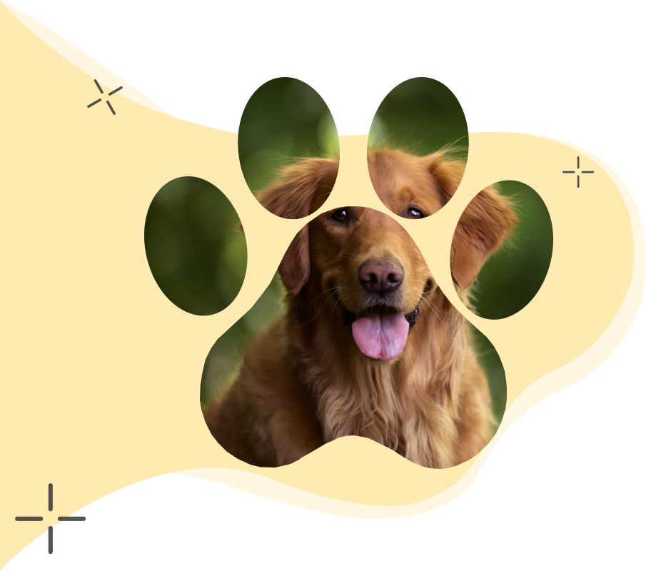 VETS FUR PETS