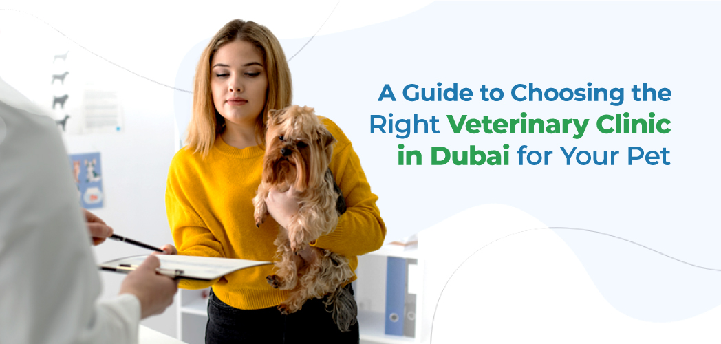 VETS FUR PETS