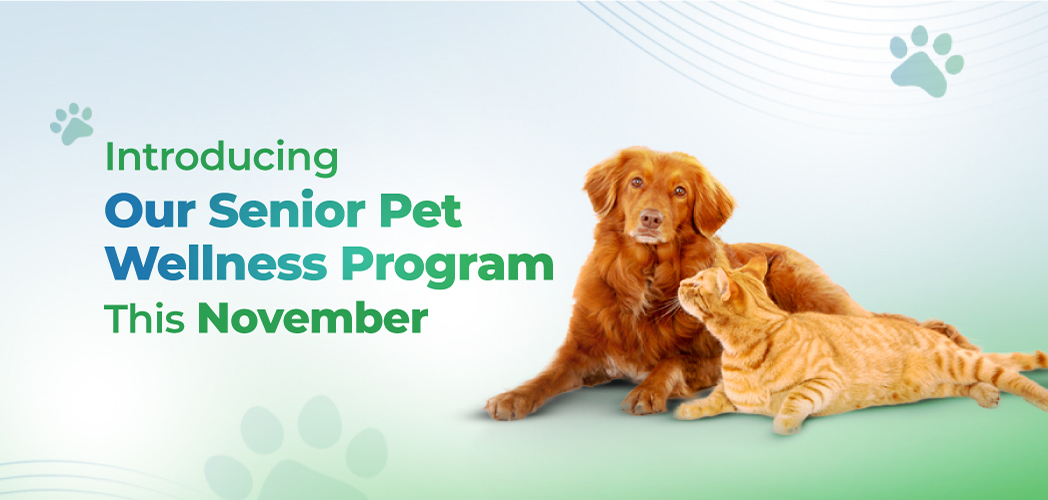 VETS FUR PETS