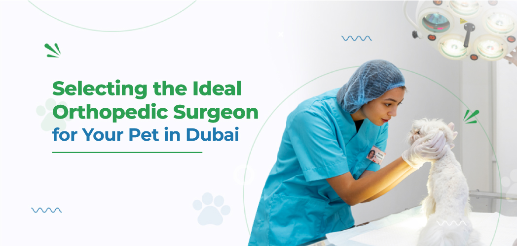 VETS FUR PETS