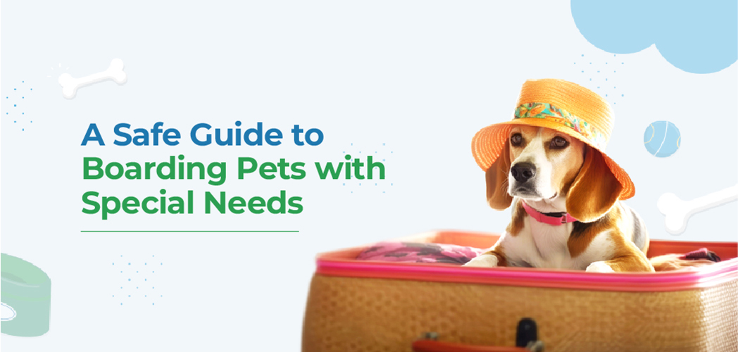 VETS FUR PETS