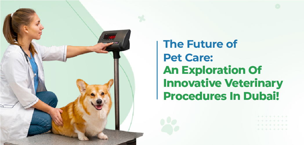 VETS FUR PETS