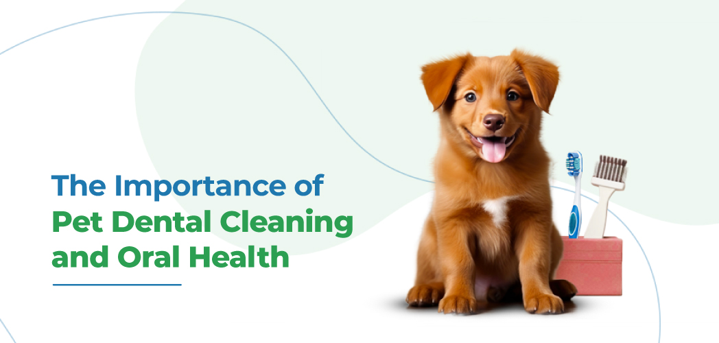 VETS FUR PETS