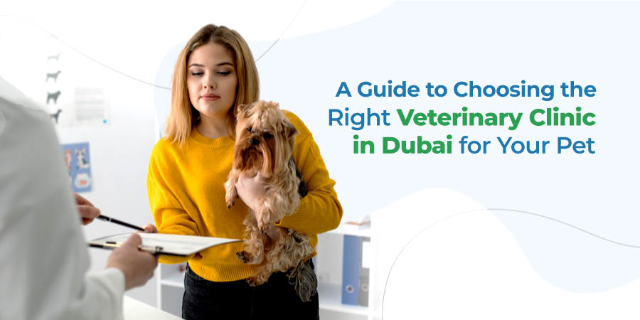 Best veterinary doctor in dubai