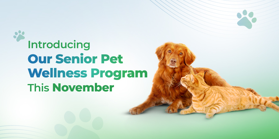 VETS FUR PETS
