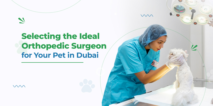 VETS FUR PETS