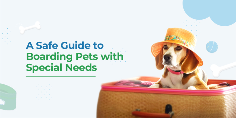 VETS FUR PETS
