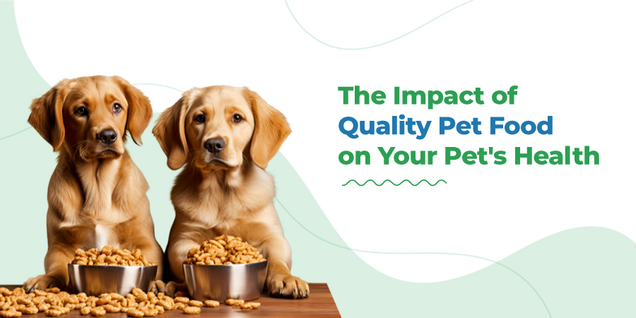 VETS FUR PETS