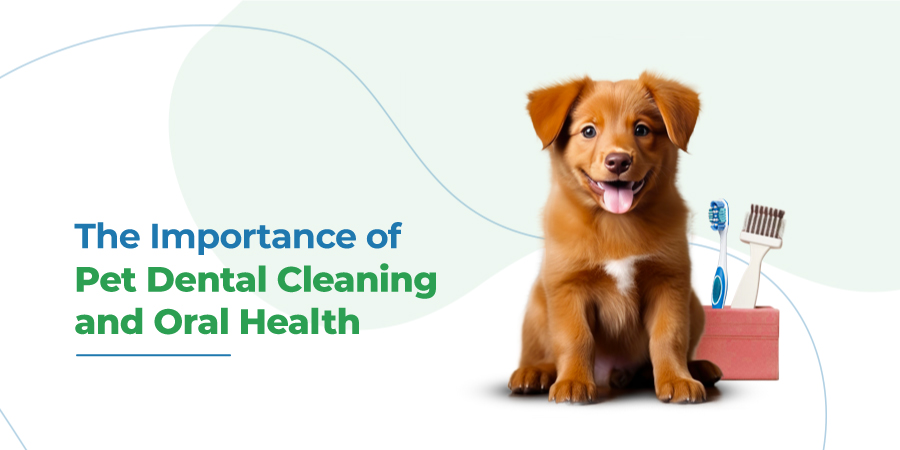 VETS FUR PETS
