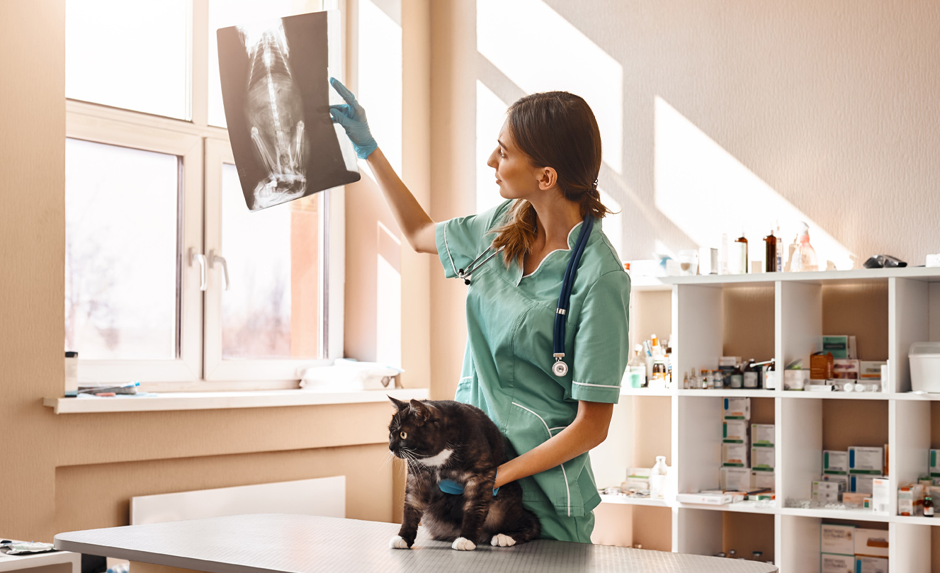 VETS FUR PETS