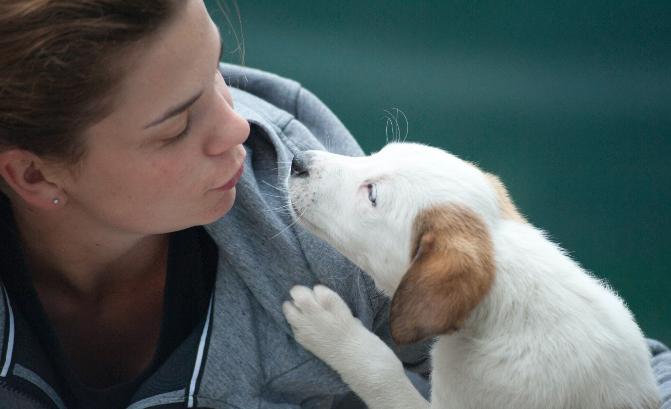 VETS FUR PETS