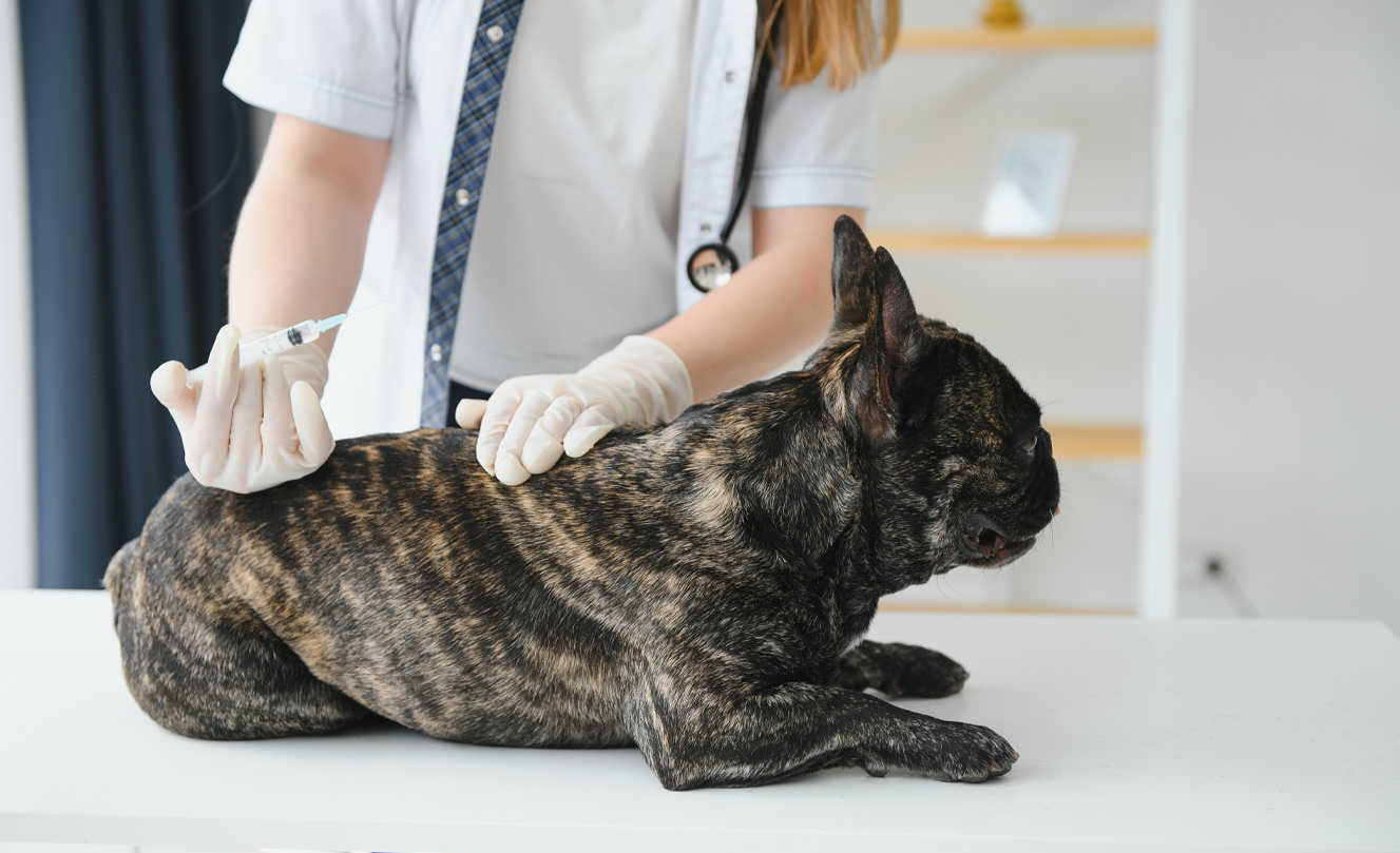 VETS FUR PETS