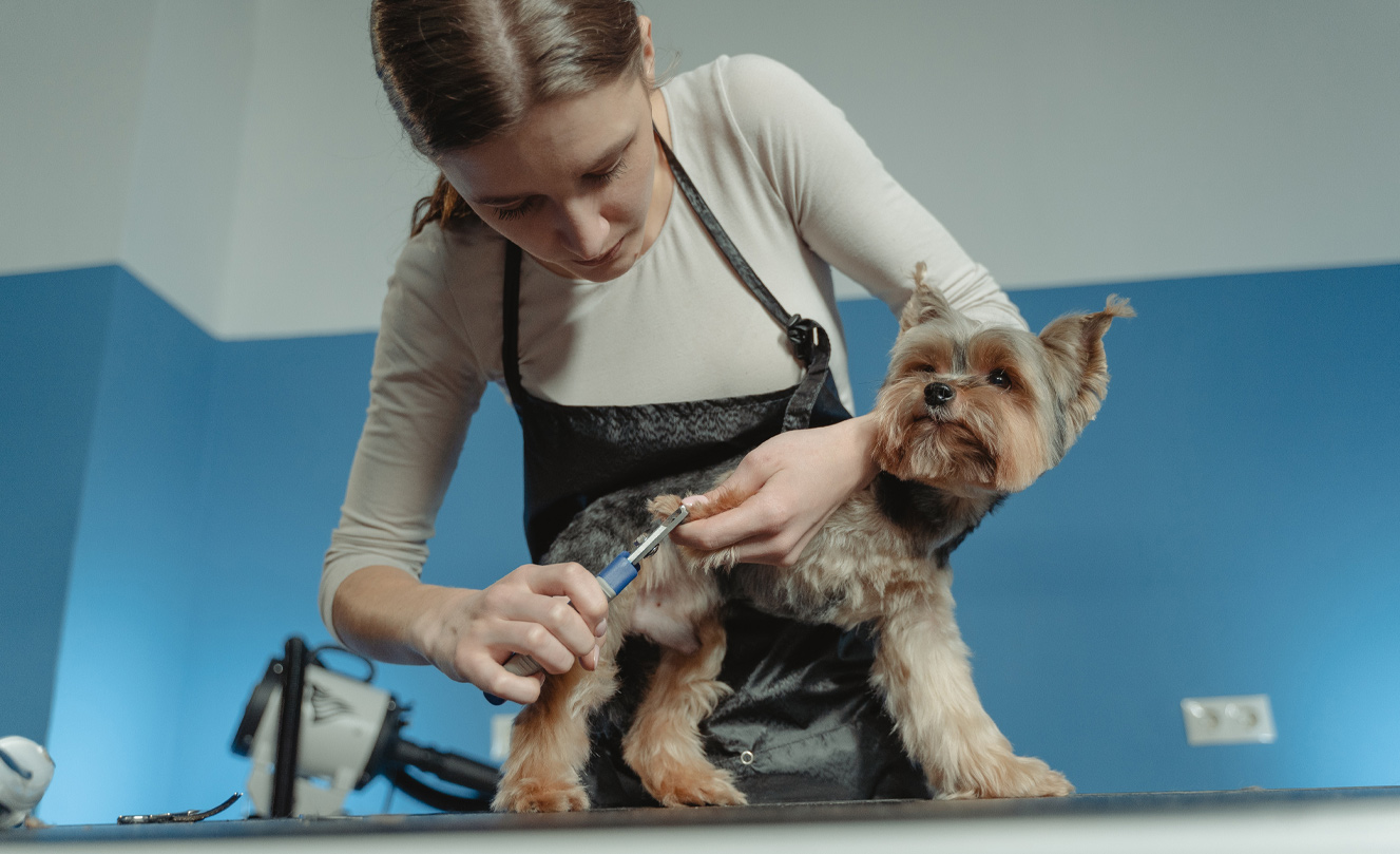 VETS FUR PETS