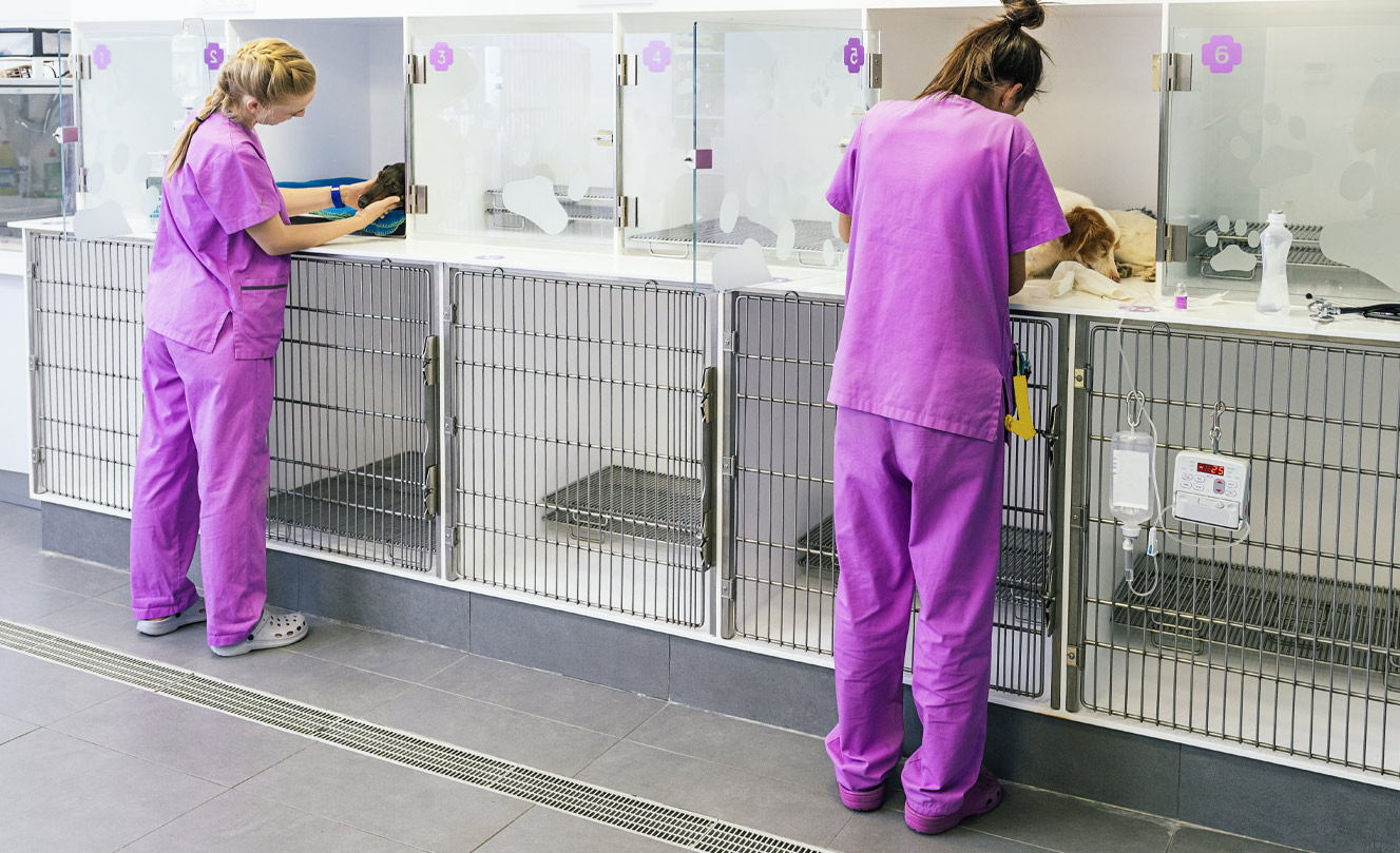VETS FUR PETS