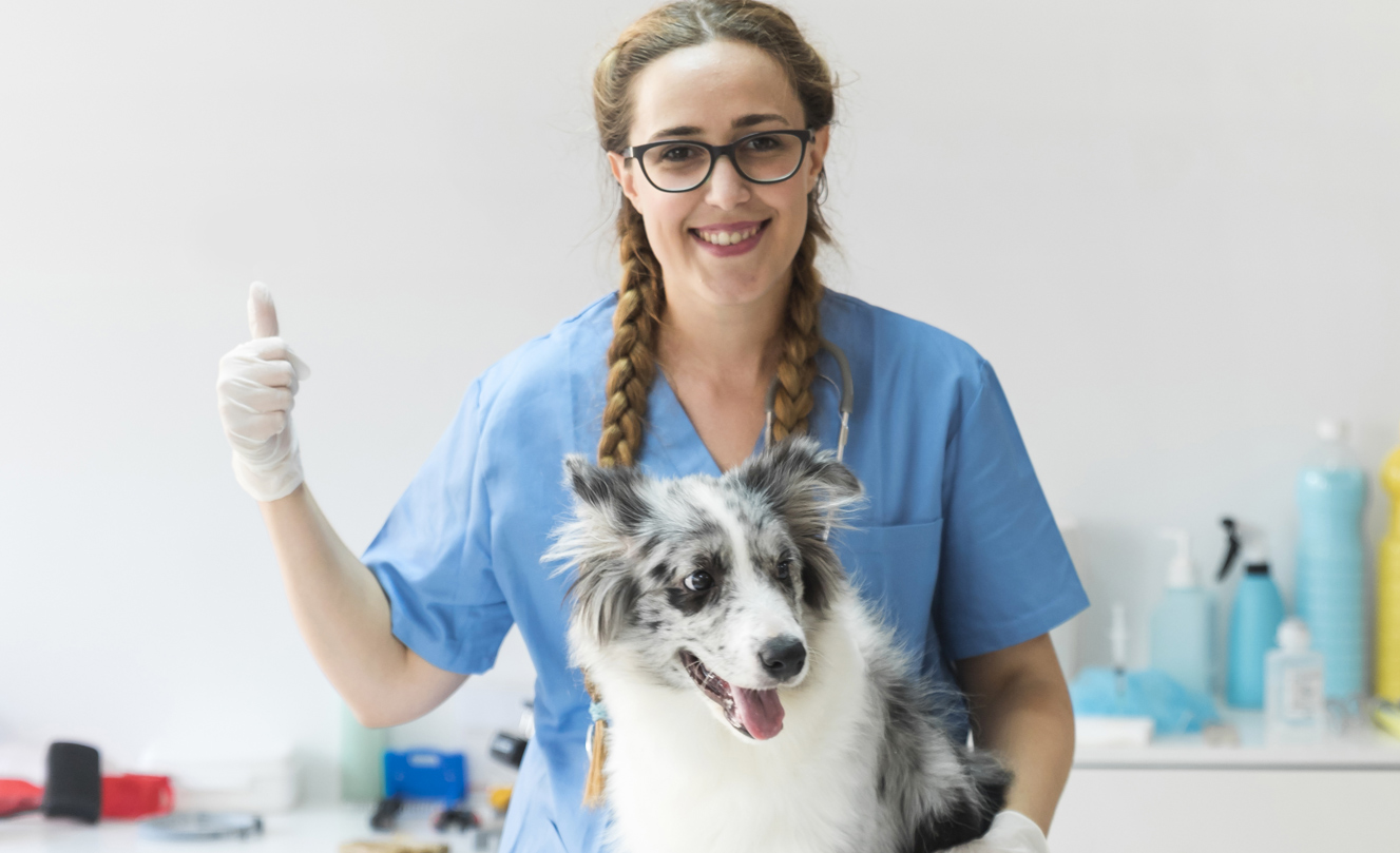 VETS FUR PETS