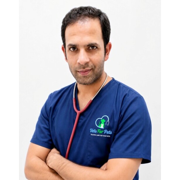VETS FUR PETS