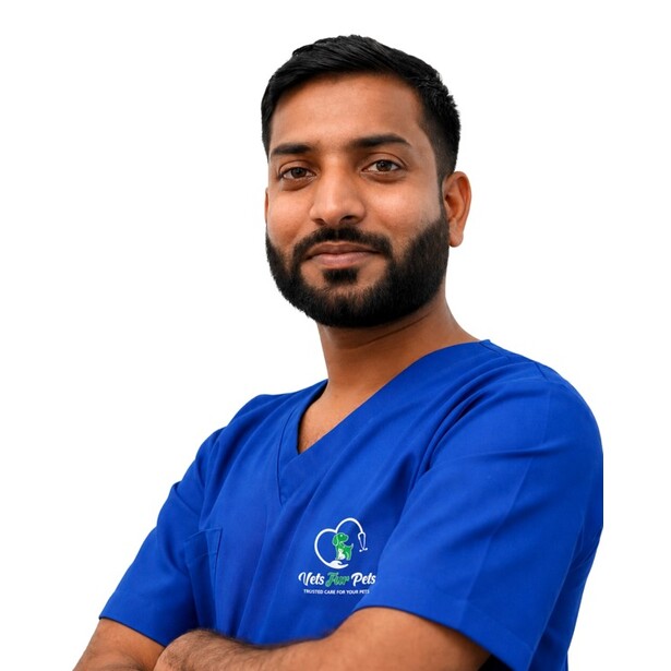 VETS FUR PETS